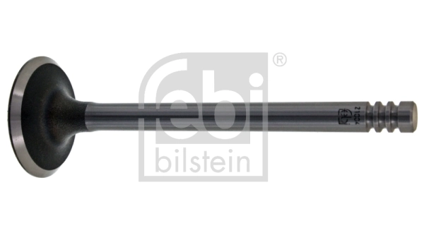 Intake Valve